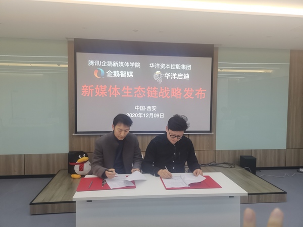 企鹅9.jpg